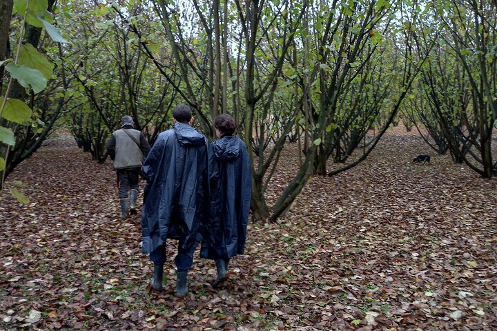 Langhe Truffle hunting Experience