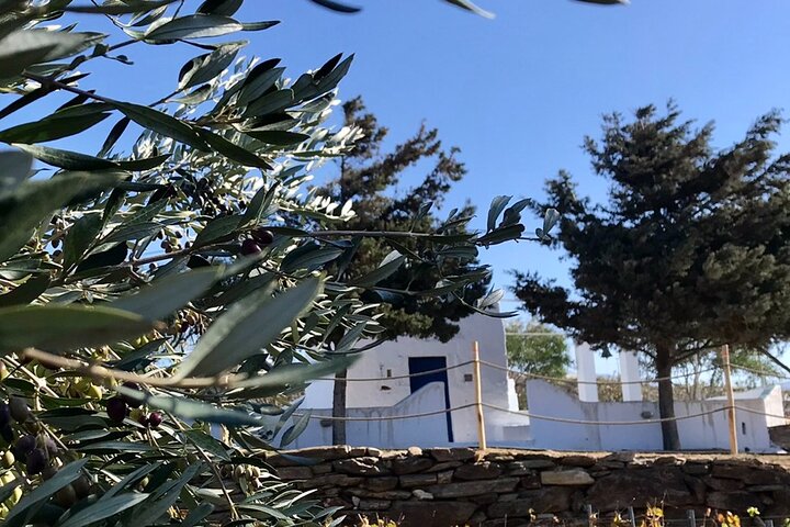 Wine Tasting and Tour in Saint Anna Winery in Naxos
