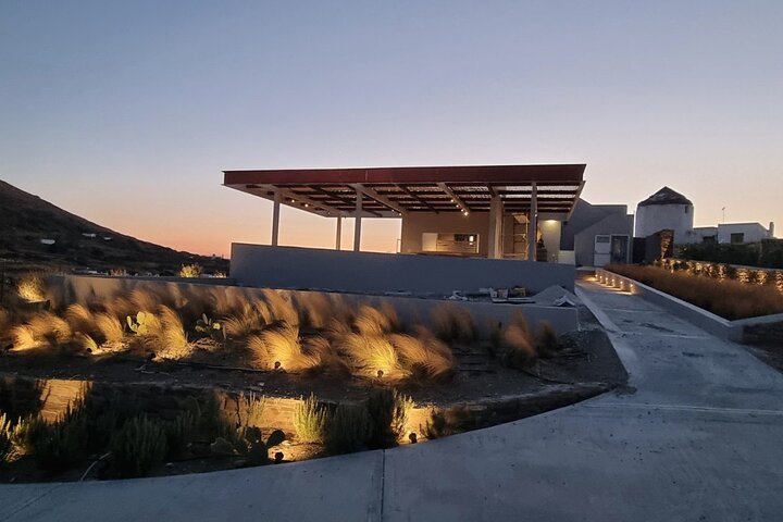 Wine Tasting in Tinos: Sea-View Terrace Tour & Sommelier Guide