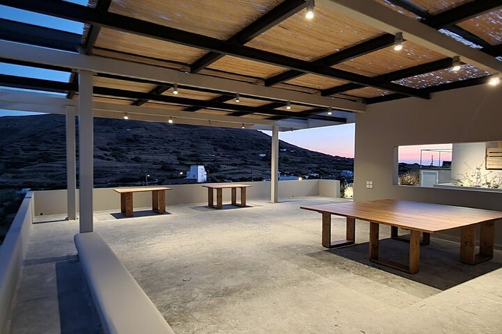 Wine Tasting in Tinos: Sea-View Terrace Tour & Sommelier Guide