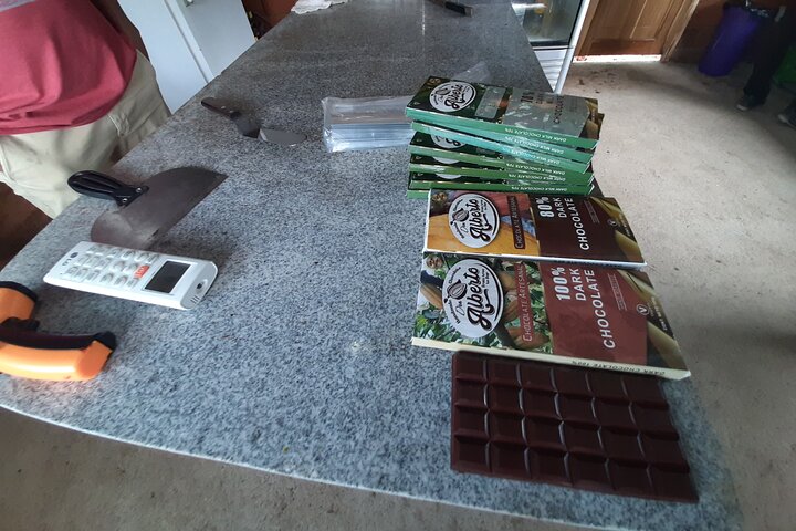 Half-day Chocolate Workshop - Cacao Farm