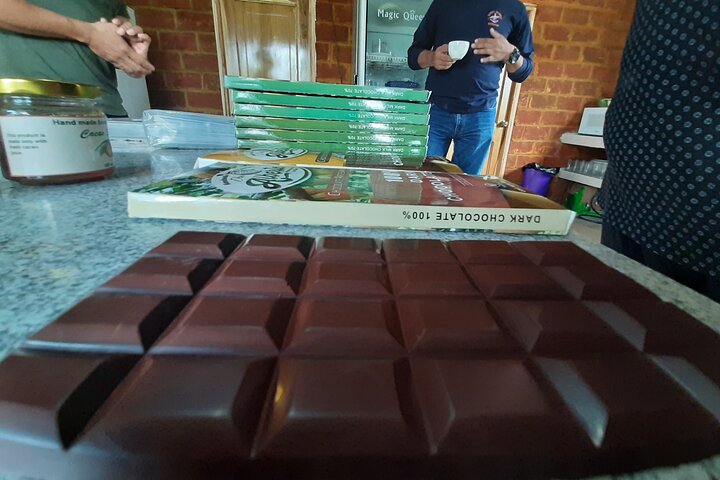 Half-day Chocolate Workshop - Cacao Farm