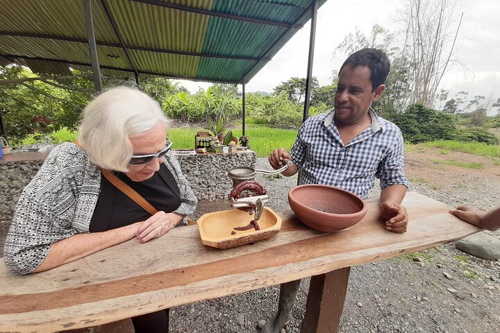 Half-day Chocolate Workshop - Cacao Farm