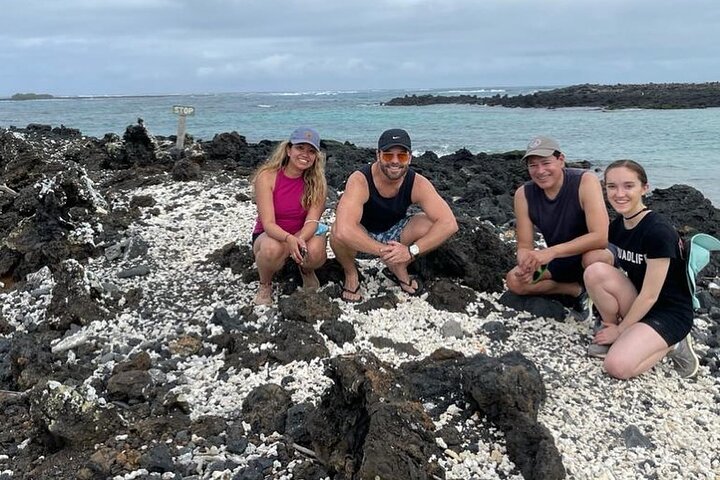 Half Day Tintoreras Tour from Isabela Island
