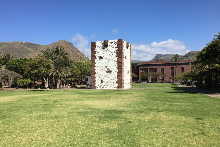 Full Day Guided Tour to La Gomera from Tenerife