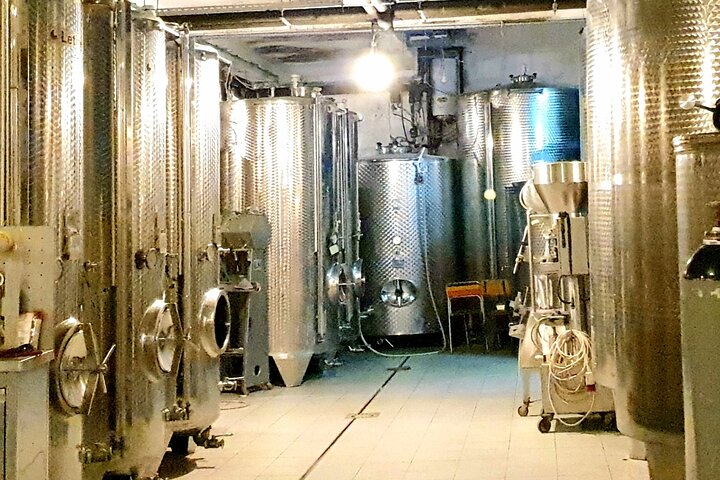 Krk Island: Cellar Tour, Biodynamic Wine Tasting & Food Pairing