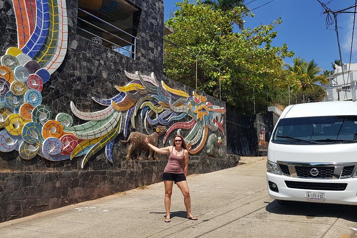 4 or 6Hr Discover Acapulco With a Fun Guide, Diver Show,Mex Lunch