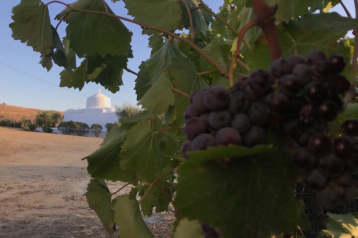 Wine Tasting and Tour in Saint Anna Winery in Naxos
