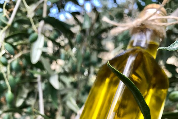 Wine Tasting and Tour in Saint Anna Winery in Naxos