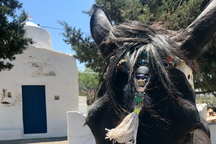 Wine Tasting and Tour in Saint Anna Winery in Naxos