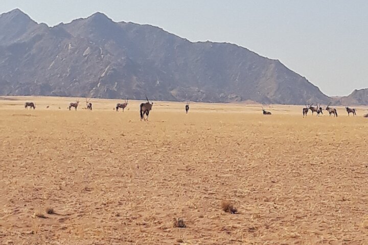 2 Day Scenic Sossusvlei Adventure Tour in Namibia