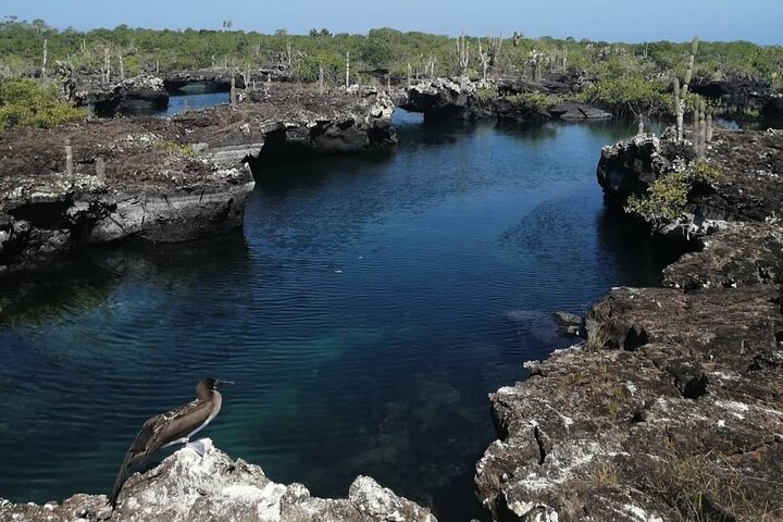 Full day Lava Tunnels Tour from Isabela Island