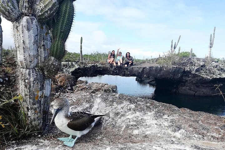 Full day Lava Tunnels Tour from Isabela Island