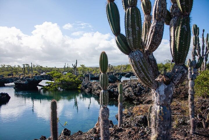 Full day Lava Tunnels Tour from Isabela Island