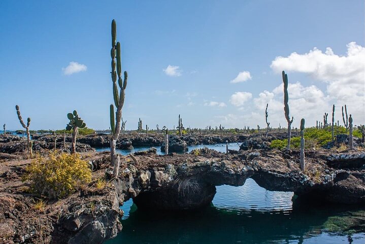 Full day Lava Tunnels Tour from Isabela Island