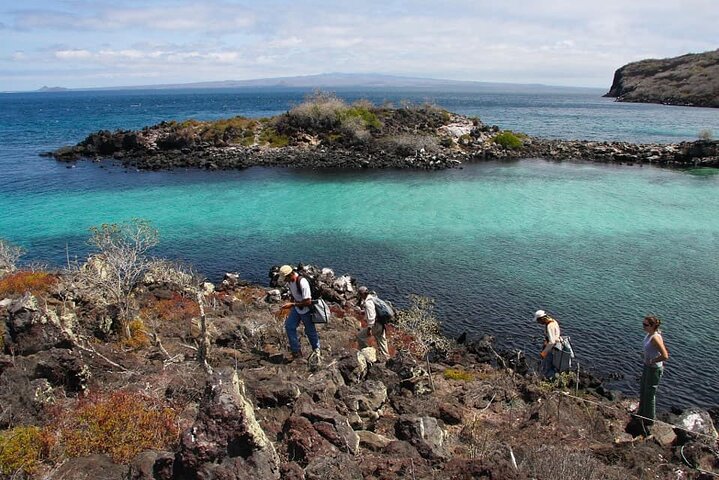 Full Day Pinzon Island, Finishing in la Fe with Snorkeling