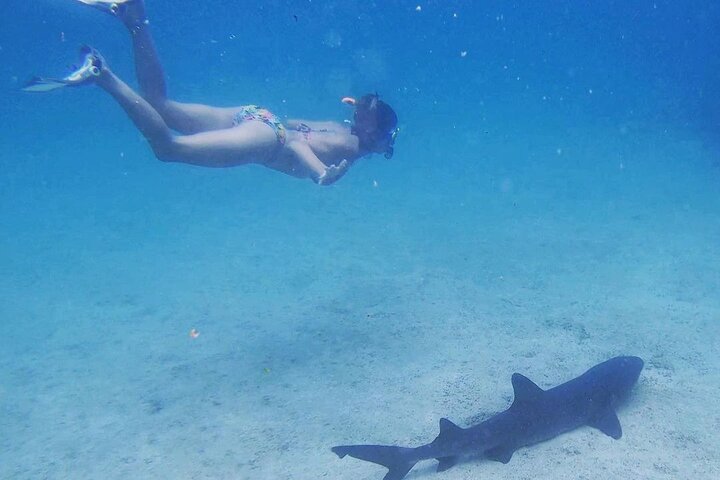 Full Day Pinzon Island, Finishing in la Fe with Snorkeling