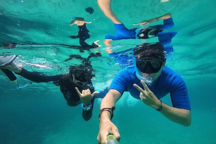 Full Day Pinzon Island, Finishing in la Fe with Snorkeling