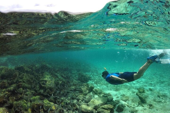 Full Day Pinzon Island, Finishing in la Fe with Snorkeling