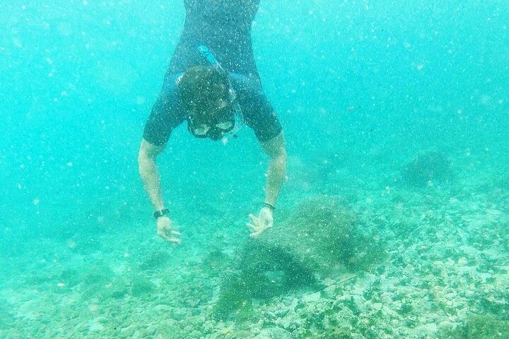 Full Day Pinzon Island, Finishing in la Fe with Snorkeling