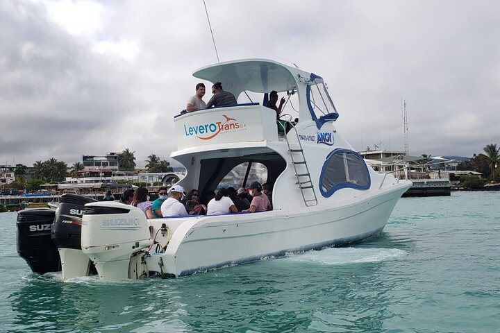 Transfer from Isabela Island to Santa Cruz Island