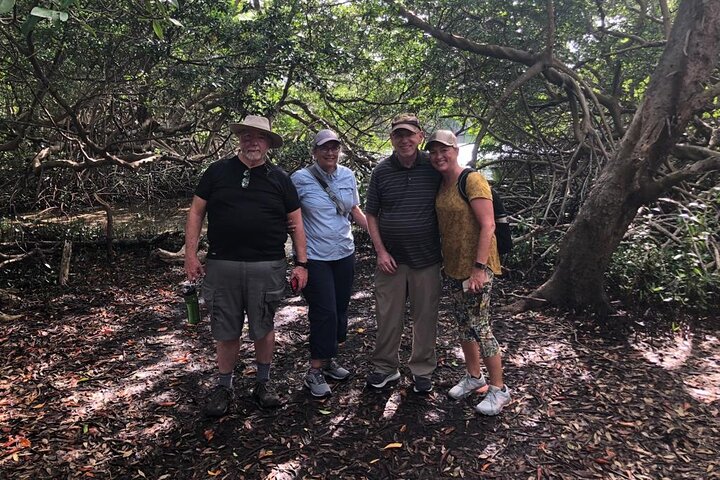 Spanish Lagoon Mangrove Trail & Bird Watching