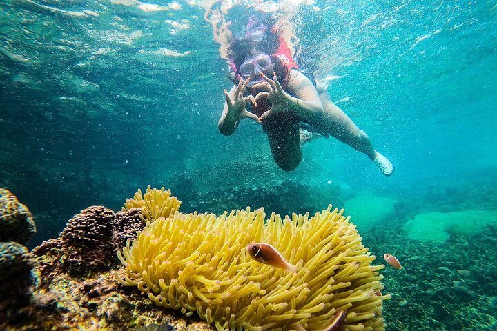 5 Islands Full-Day Tour Around Koh Tao and Koh Nangyuan