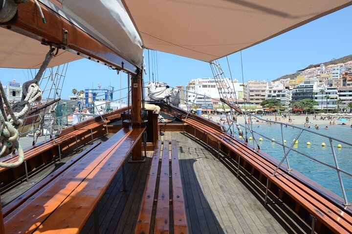 Tenerife: Whale & Dolphin Watching Cruise & Swim, Los Cristianos