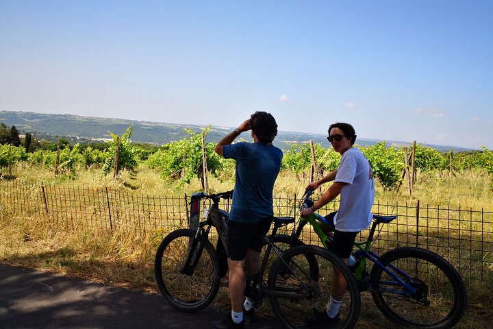 Unique EnoBike experience with tasting in 2 excellent wineries