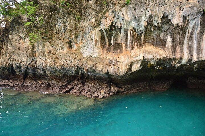 Snorkeling Phi Phi Islands Tour From Phi Phi by Speedboat
