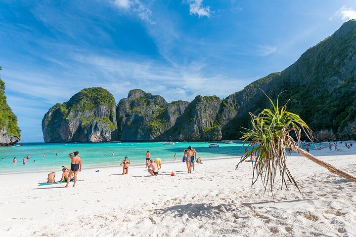 Snorkeling Phi Phi Islands Tour From Phi Phi by Speedboat
