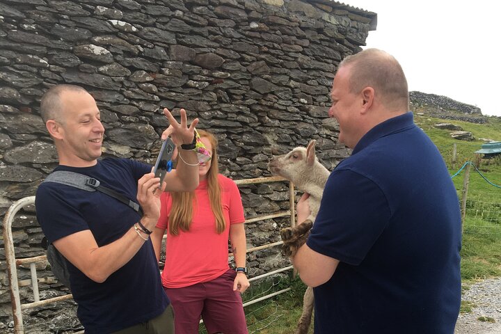 Private tour of Dingle and Slea Head with accredited guide
