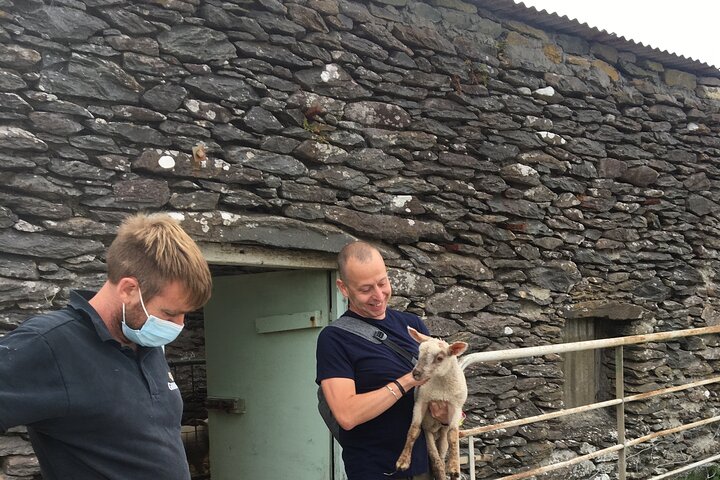 Private tour of Dingle and Slea Head with accredited guide