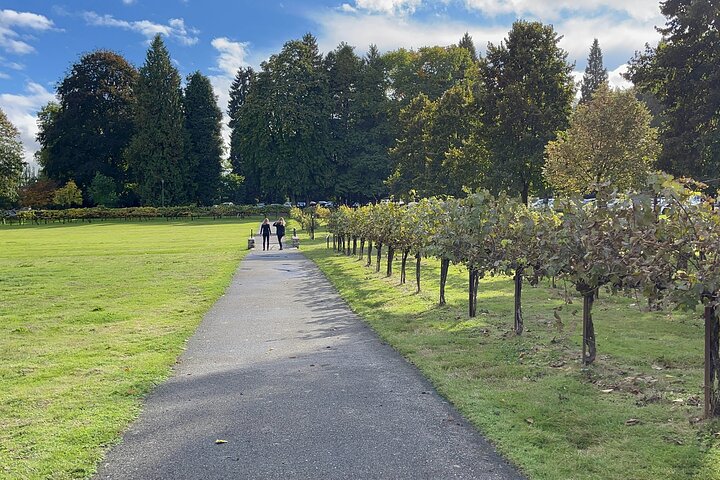 Snoqualmie Falls and Wineries Tour from Seattle