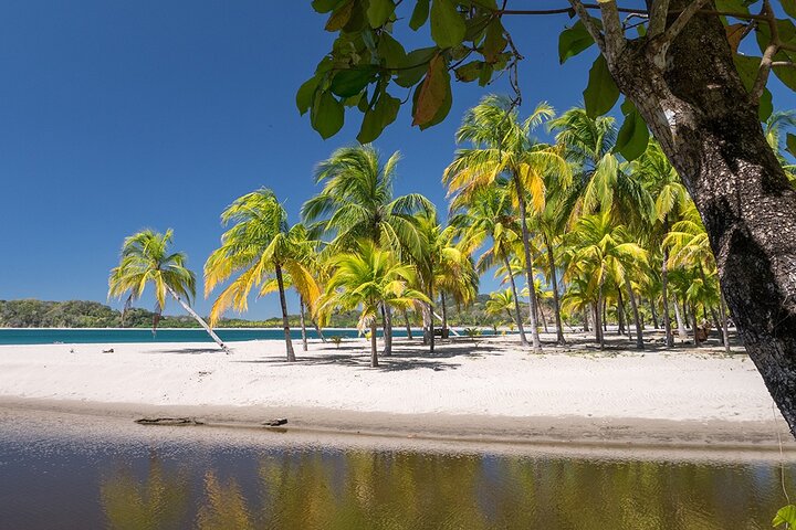 Shuttle From San Jose Airport To Playa Samara and Playa Carrillo