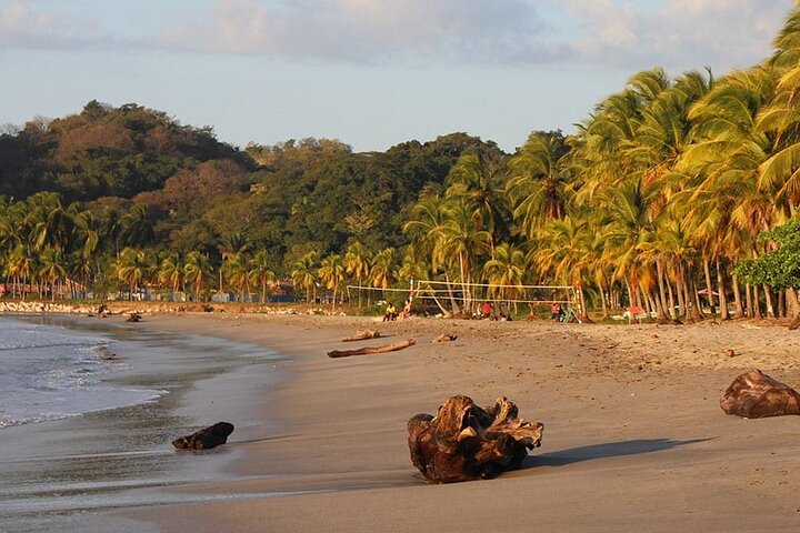 Shuttle From San Jose Airport To Playa Samara and Playa Carrillo