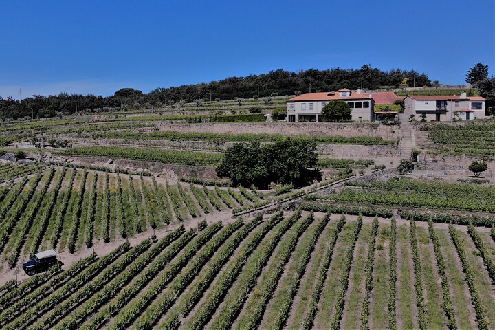 Winery Tour and Wine Tasting Quinta da Portela de Baixo in Lamego