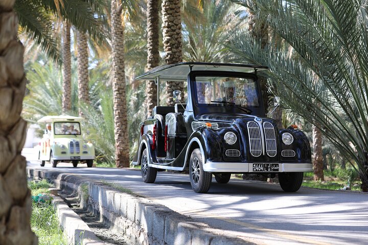 Classic Cart Tour through Alhamra Old Village