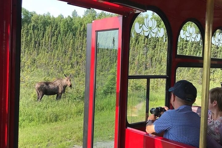Anchorage Trolley's 1-Hour City Tour