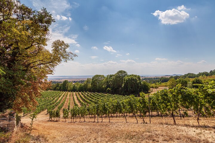 Private Bohemia Wine Tour from Prague with Gourmet Tastings