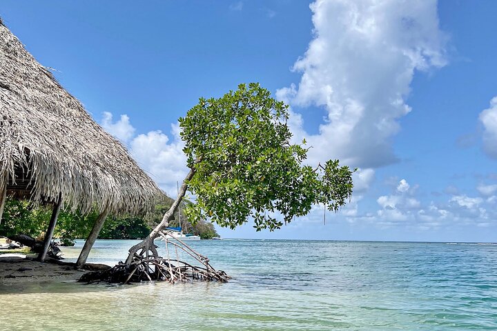 Caribbean Catamaran Day Cruise: Beaches, Snorkeling & Lunch
