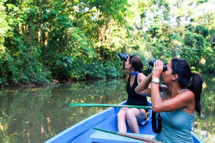 Tortuguero : All Inclusive Package 2 Nights 3 Days from San Jose