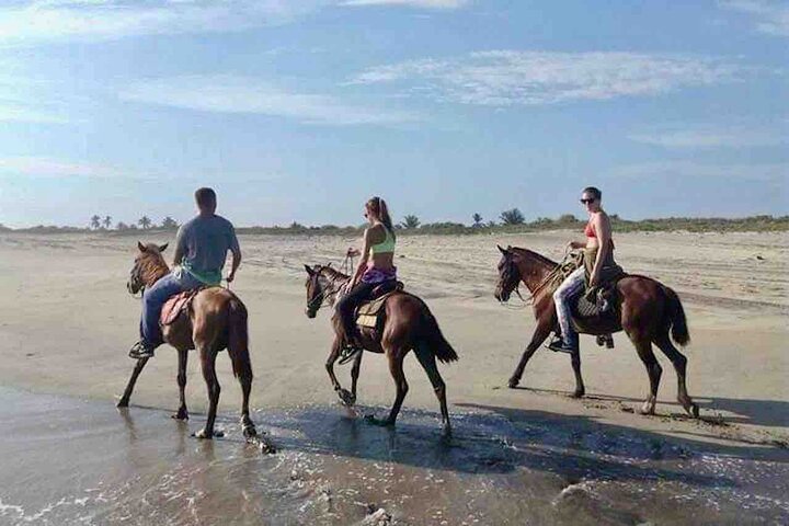 Beach Horseback Riding Adventure in Copalita, Huatulco