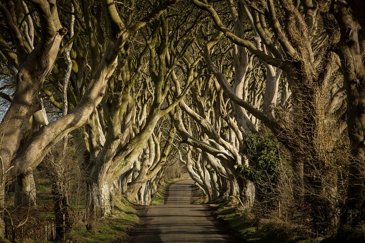 Chauffeur Giants Causeway & Belfast Private Day Tour From Dublin