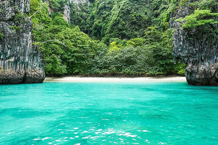 6 Hours Private Tour Around Phi Phi Islands From Phi Phi