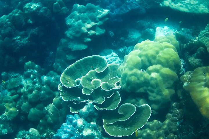 6 Hours Private Tour Around Phi Phi Islands From Phi Phi