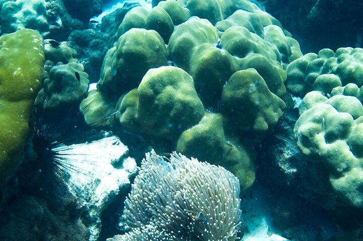 6 Hours Private Tour Around Phi Phi Islands From Phi Phi