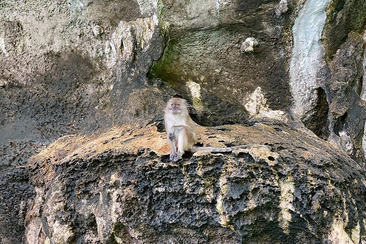 6 Hours Private Tour Around Phi Phi Islands From Phi Phi