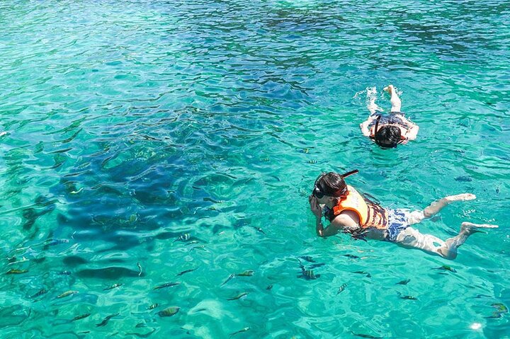 6 Hours Private Tour Around Phi Phi Islands From Phi Phi