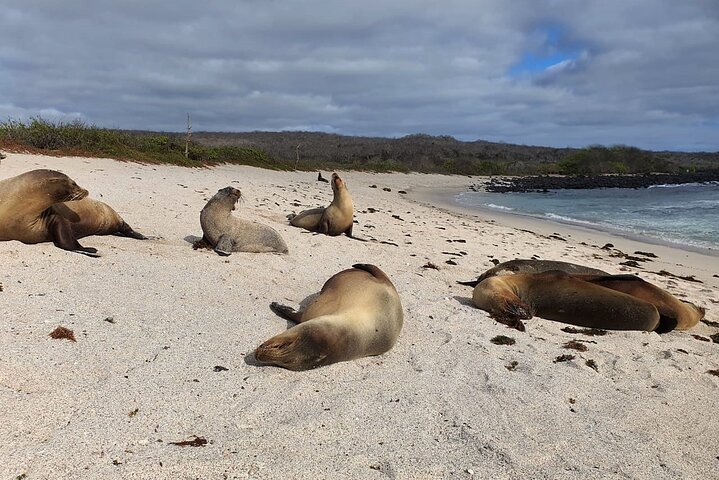 Day tour to San Cristobal Island with private Land Tour and snorkeling